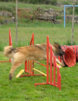 Agility